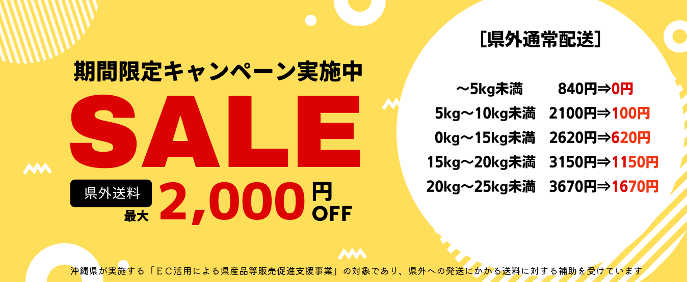 沖縄の海水塩 青い海 500g 青い海 公式オンラインショップ